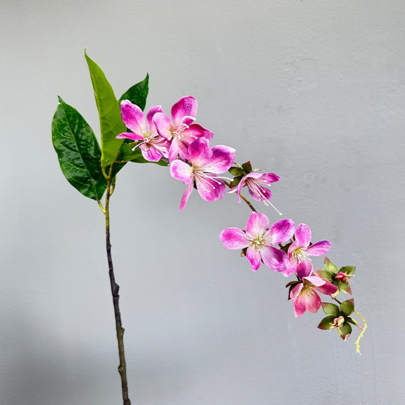 人工ジャスミンの花の装飾、吊り下げ式のリンゴの花、ホテルのフ - Home Fragrance Jasmine のレビューと価格