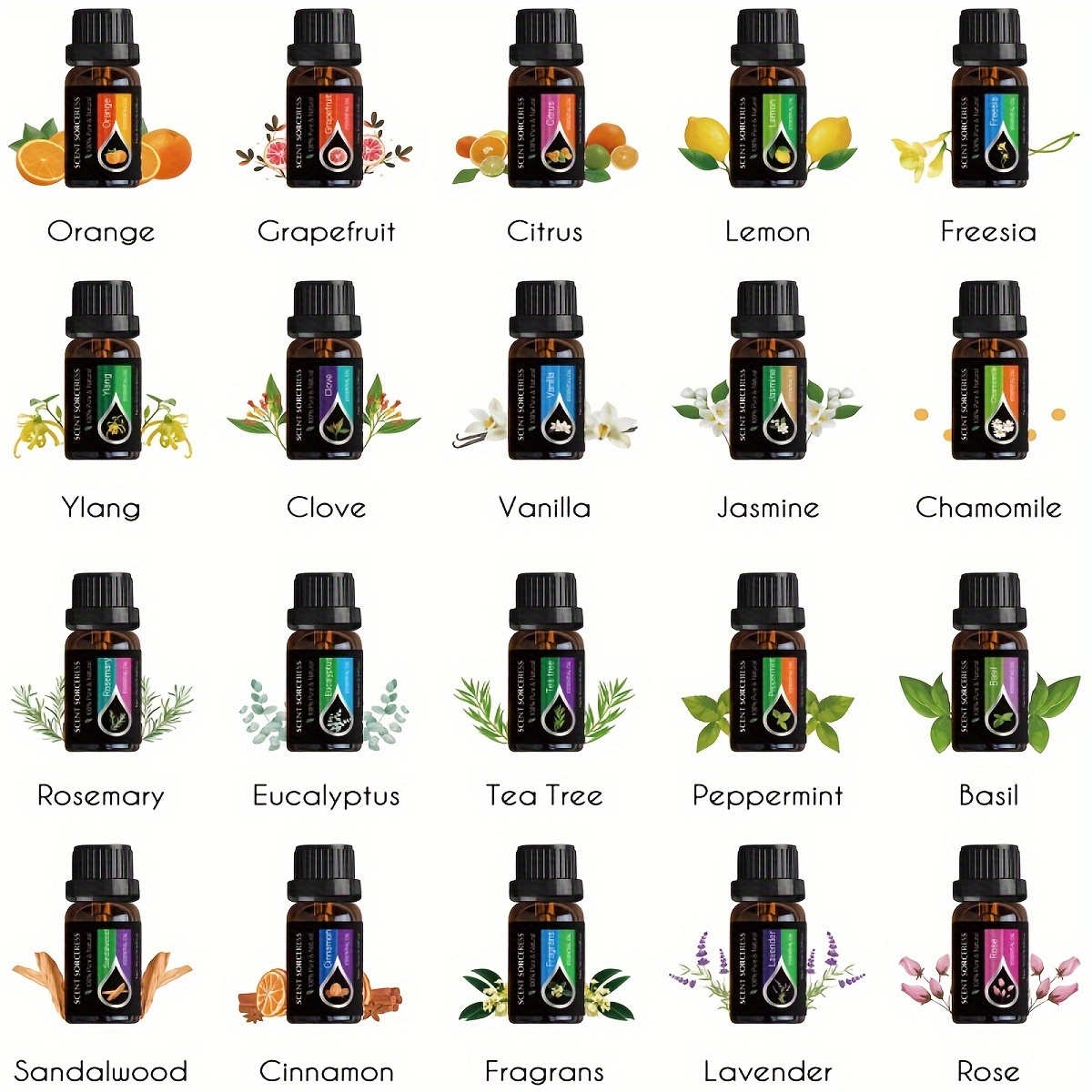20個/セット エッセンシャルオイルセット ラベンダー ユー - Home Fragrance Eucalyptus のレビューと価格